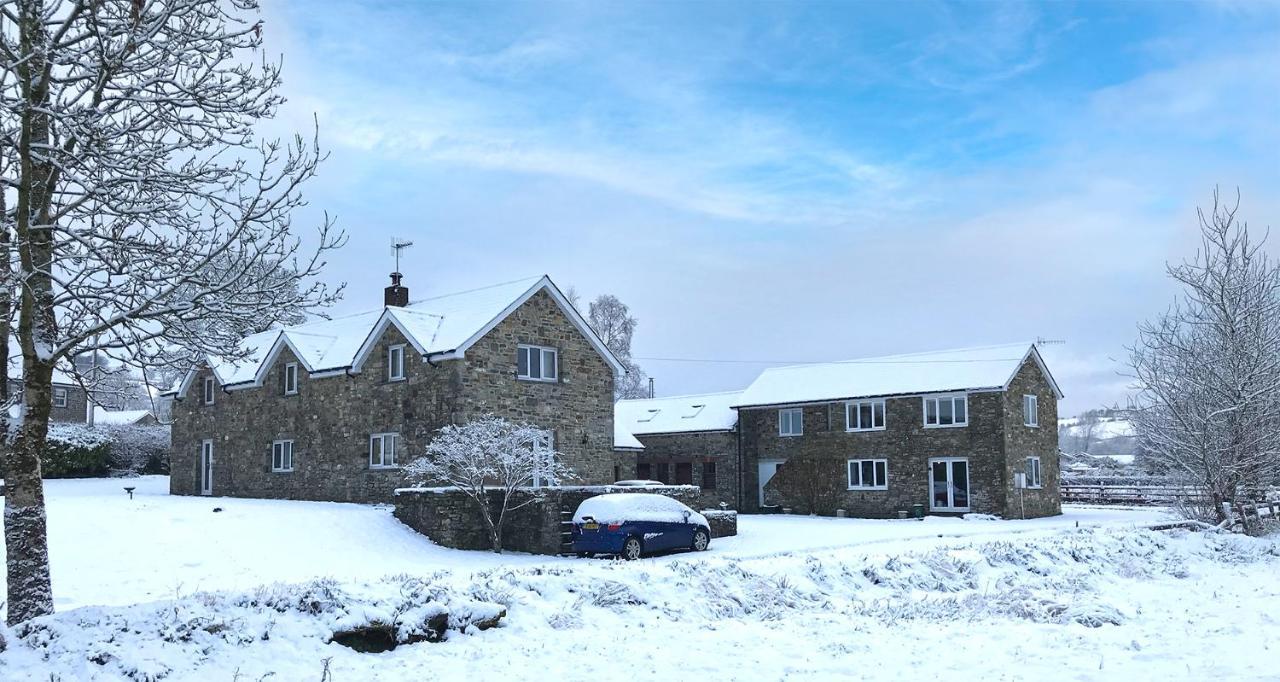 Maesyfelin Isaf B&B Llanybyther Exterior foto