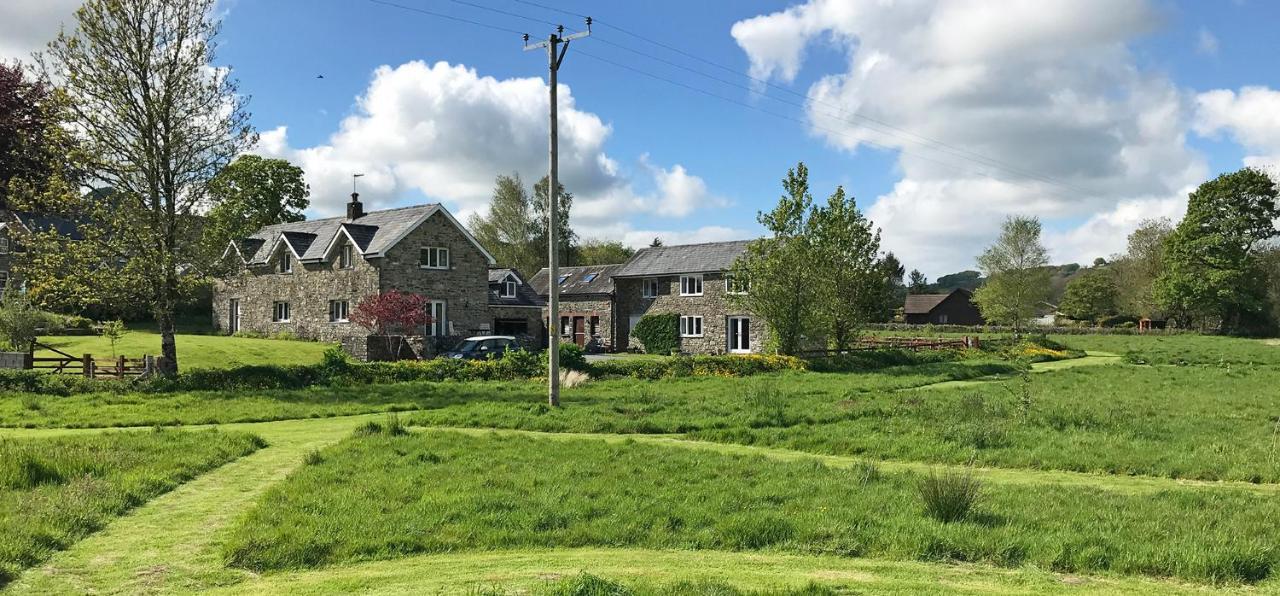 Maesyfelin Isaf B&B Llanybyther Exterior foto