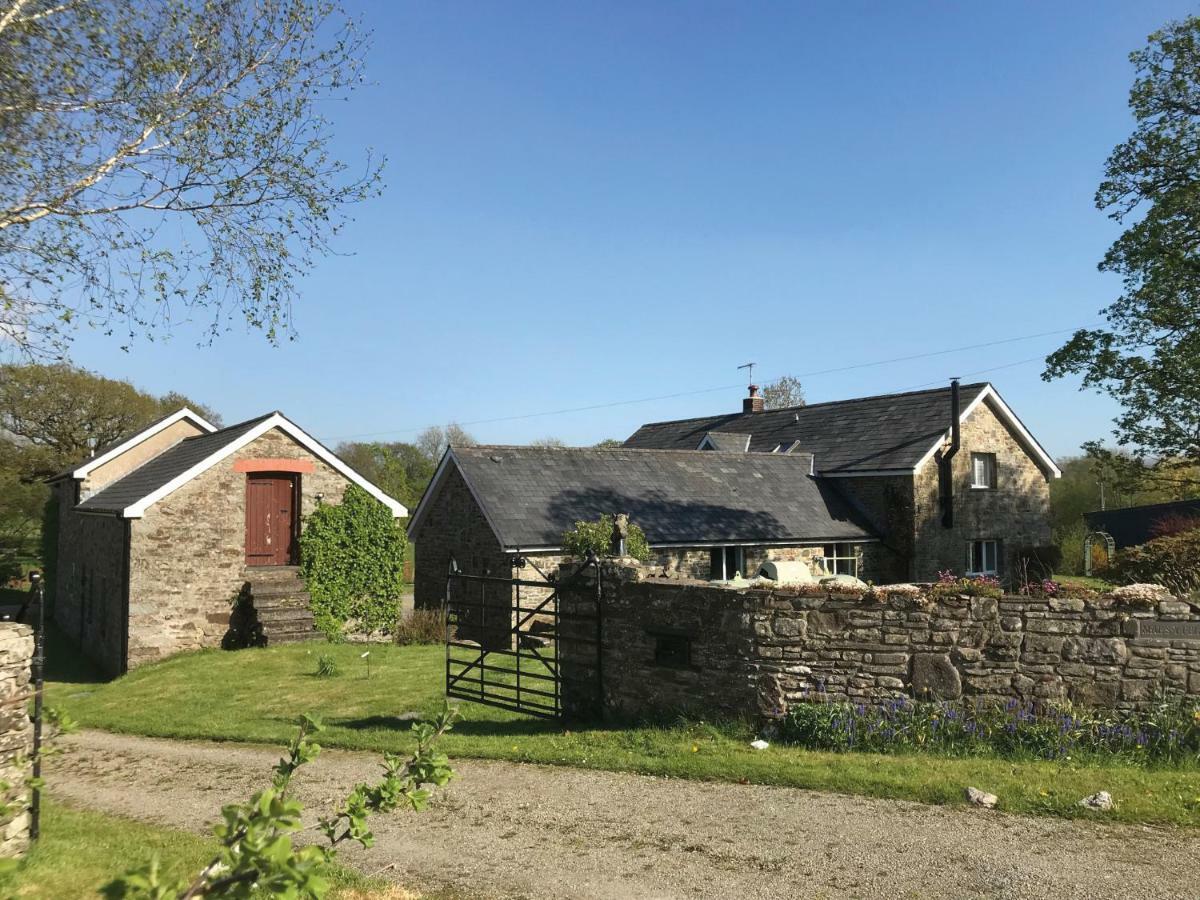 Maesyfelin Isaf B&B Llanybyther Exterior foto